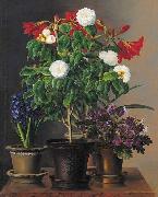 Johan Laurentz Jensen Camelias, amaryllis, hyacinth and violets in ornamental pots on a marble ledge oil